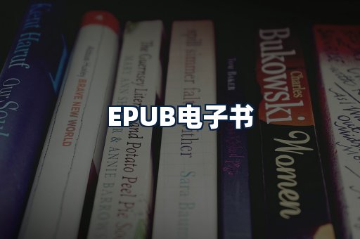 EPUB电子书